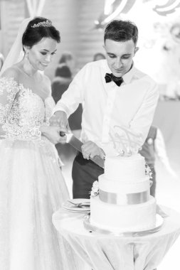 Güzel düğün çifti düğün pastası partisi ile