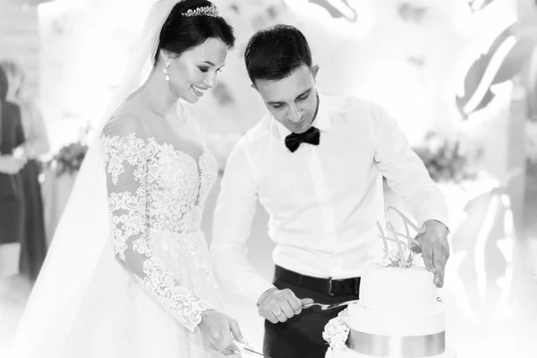 Pretty Wedding Couple Wedding Cake Party — Stock Photo, Image