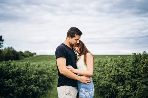 Joven pareja amorosa abrazándose suavemente en el fondo de las plantaciones de grosellas verdes. Historia de amor —  Fotos de Stock