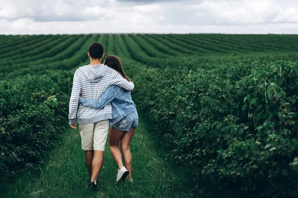 Una tierna y cariñosa pareja caminando en un campo de grosella. Vista trasera —  Fotos de Stock