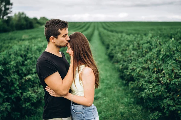 Joven pareja amorosa abrazándose suavemente en el fondo de la cu verde —  Fotos de Stock