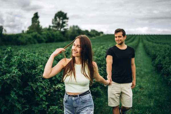 Una tierna y cariñosa pareja caminando en un campo de grosella. Una mujer sonriente con el pelo largo lleva a un hombre, sosteniendo su mano —  Fotos de Stock