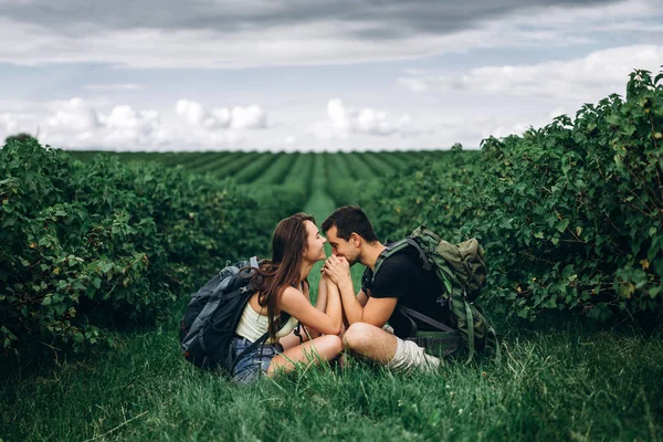 Homem e mulher com mochilas nas costas sentados abraçando a grama verde entre os arbustos de groselha. Caminhando sobre as plantações de groselha no campo — Fotografia de Stock