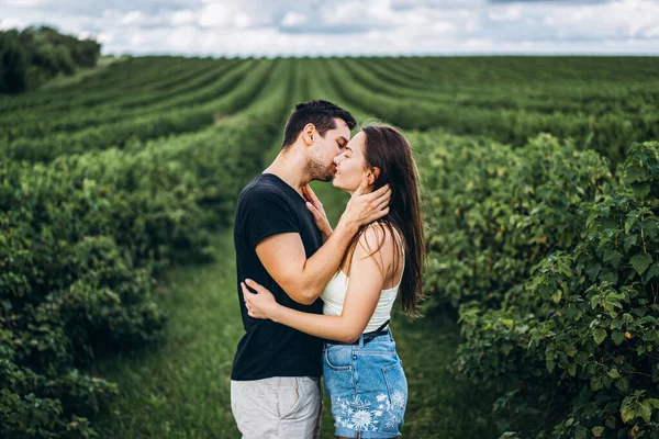 Joven Pareja Amorosa Abrazándose Suavemente Fondo Las Plantaciones Grosellas Verdes — Foto de Stock