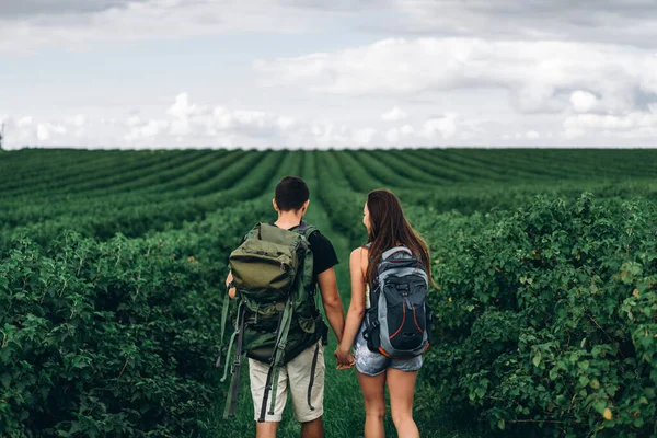 Achteraanzicht Van Jong Koppel Met Rugzakken Bessenplantages Die Elkaars Hand — Stockfoto