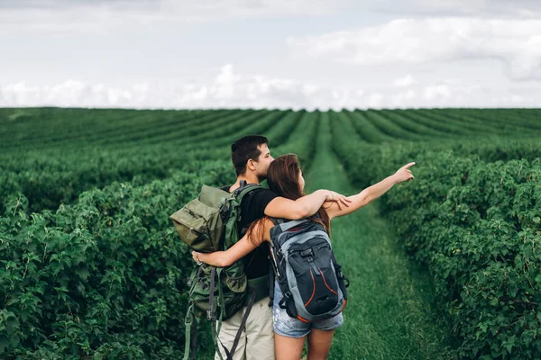 Achteraanzicht Van Jong Koppel Met Rugzakken Bessenplantages Vrouw Met Lang — Stockfoto