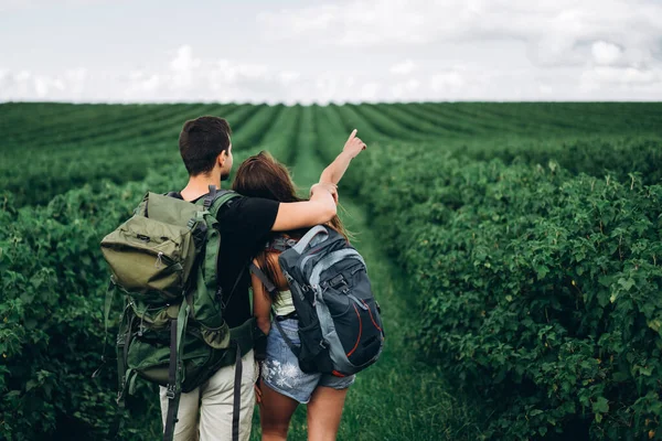 Achteraanzicht Van Jong Koppel Met Rugzakken Bessenplantages Vrouw Met Lang — Stockfoto