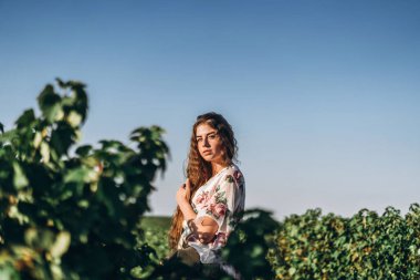 Frenk üzümü tarlasında uzun kıvırcık saçlı ve çilli güzel bir kadın. Hafif elbiseli bir kız yaz güneşli bir günde yürüyor..