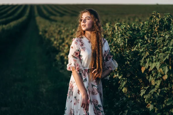 Beautiful Woman Long Curly Hair Freckles Face Currant Field Background — Stock Photo, Image