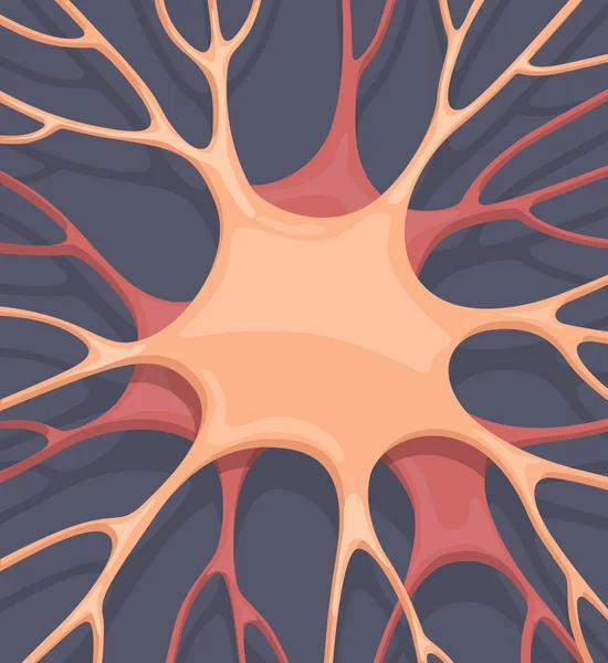 Neuronal cells background. Vector illustration — Stock Vector