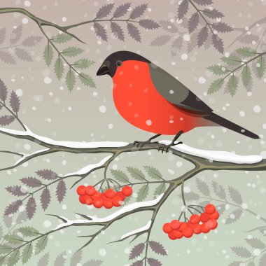 Vektör çizim. Kartopu dal şakrak kuşu. Noel ve yeni yıl