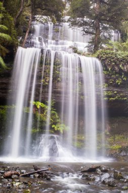 Büyük bir şelaleye uzun süre maruz kalmak. Burası Tazmanya, Avustralya 'daki Mount Field Ulusal Parkı' ndan Russell Falls.