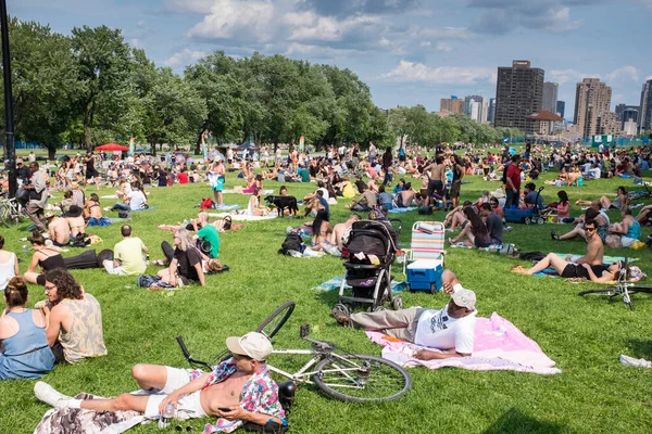 Montreal Kanada Června 2015 Tam Tams Týdenní Festival Zdarma Kolem Stock Obrázky