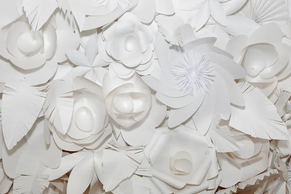 Fond avec des fleurs en papier — Photo