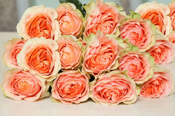 Grande grupo de variedades incomuns de rosas — Fotografia de Stock