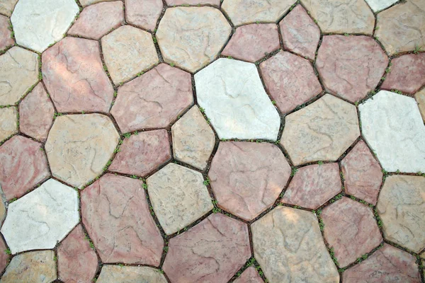 Каменная плитка с прорастающей травой — стоковое фото