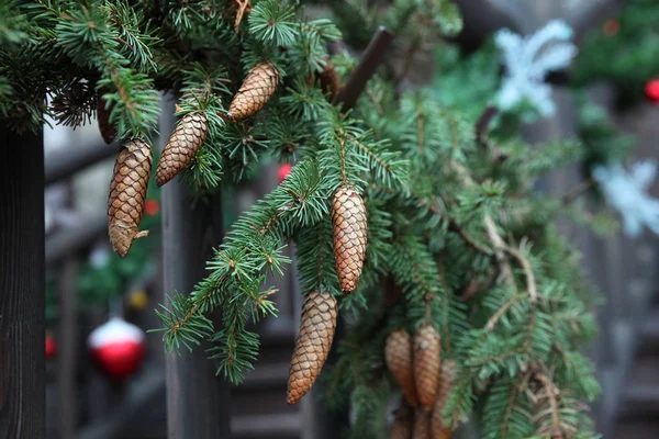 Christmas background fir-tree branches with cones — Stock Photo, Image
