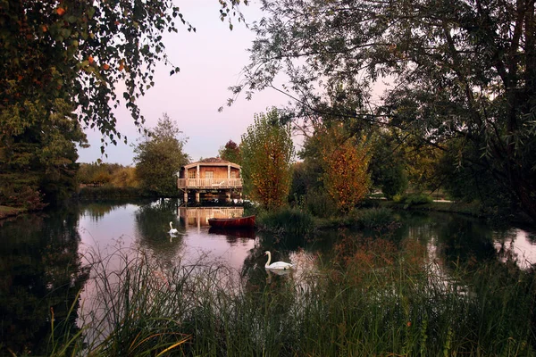 Sonbahar manzara, kuğular ile sessiz bir yer