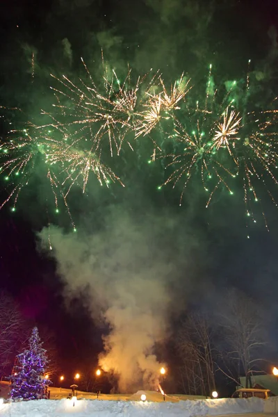 Los fuegos artificiales de Año Nuevo sobre la naturaleza — Foto de Stock