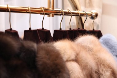 Askı üzerinde doğal kürk ile şık pahalı kürklü mantolar