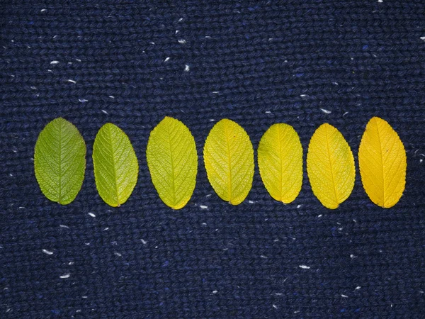 Yaz sembolü bırakarak