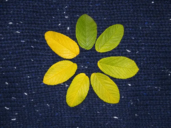 Yaz sembolü bırakarak