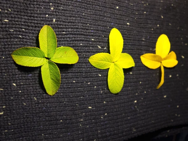 Yaz sembolü bırakarak