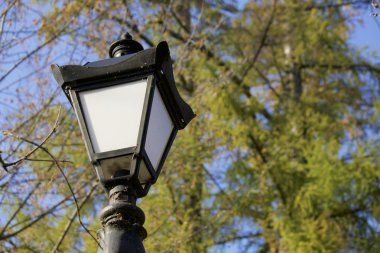 Eski fener. Sonbahar park arka planı