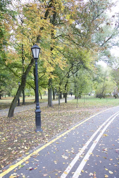 Bike Path leading through the autumn park. — Stock Photo, Image