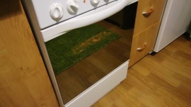 Akşam yemeği için fırında pişirme