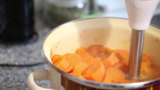 Подготовка морковного сока . — стоковое видео
