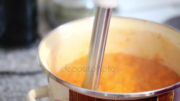 Preparación del jugo de zanahoria . — Vídeo de stock