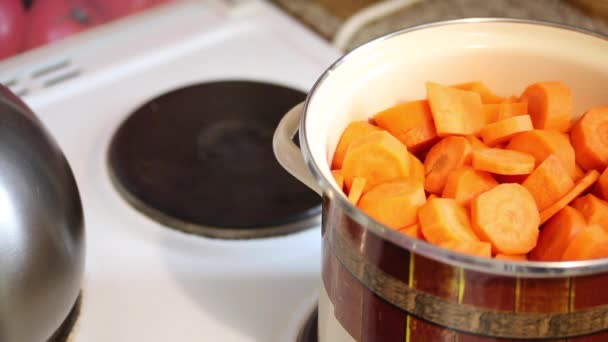 Zubereitung von Karottensaft. — Stockvideo