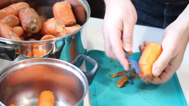 Voorbereiding van wortelsap. — Stockvideo