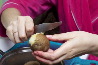 Sebze salatası salata sosu. Rus tarifleri. Pişirme aşamaları.