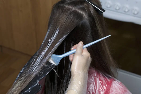 Um empreendedor individual presta serviços em casa. O cabeleireiro pinta o cabelo de uma mulher. Escove a tinta nos fios . — Fotografia de Stock