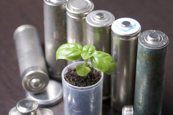 Batteries and green sprout. Recycling and disposal of batteries. Care for ecology.