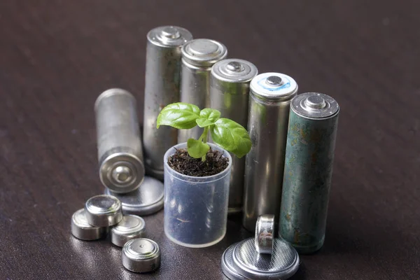Batteries and green sprout. Recycling and disposal of batteries. Care for ecology.
