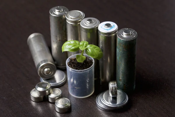 Piller ve yeşil Filiz. Geri dönüşümü ve imhası pil. Ekoloji için bakım.