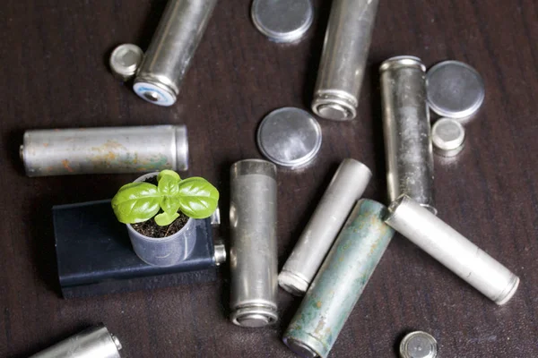 Batterier och gröna sprout. Återvinning och kassering av batterier. Vård för ekologi. — Stockfoto