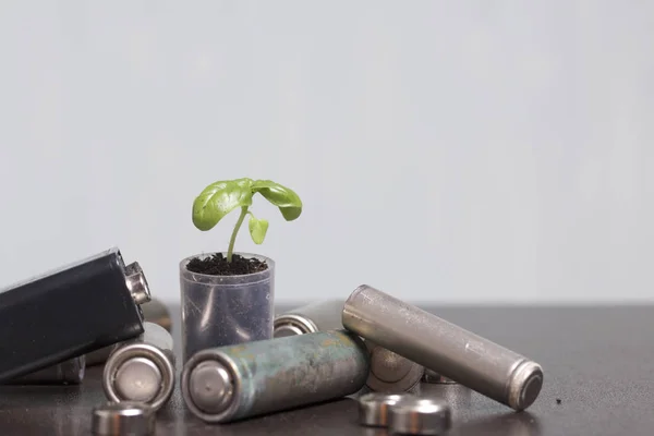 Piller ve yeşil Filiz. Geri dönüşümü ve imhası pil. Ekoloji için bakım.