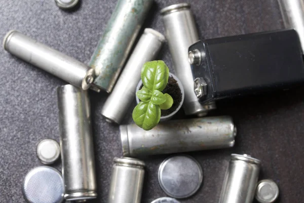 Batteries and green sprout. Recycling and disposal of batteries. Care for ecology. — Stock Photo, Image