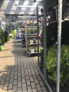 Çiçekçi dükkanı. Parlak çiçek ve yeşil bitkiler raflar ve depodaki tepsiler içinde paketlenmiş tencere stand.