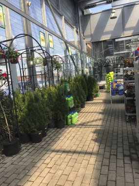 Çiçekçi dükkanı. Parlak çiçek ve yeşil bitkiler raflar ve depodaki tepsiler içinde paketlenmiş tencere stand.