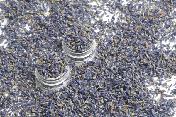 Dried flowers of lavender.