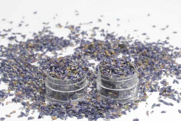 Lavanta kuru çiçekler.