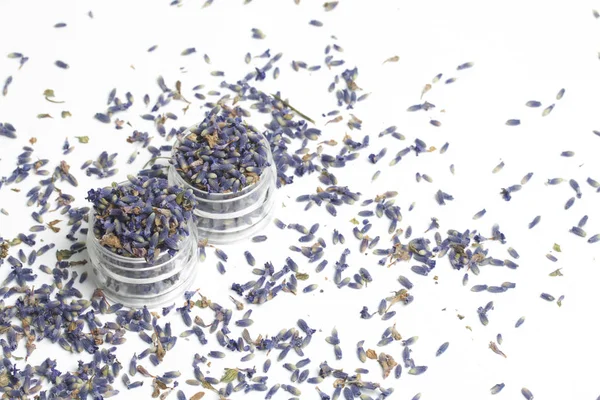 Lavanta kuru çiçekler.