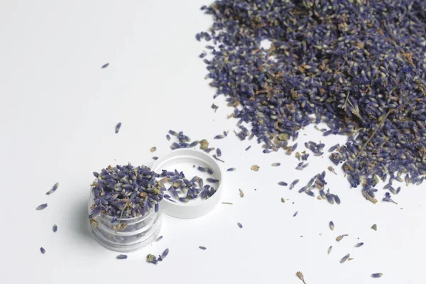 Lavanta kuru çiçekler.