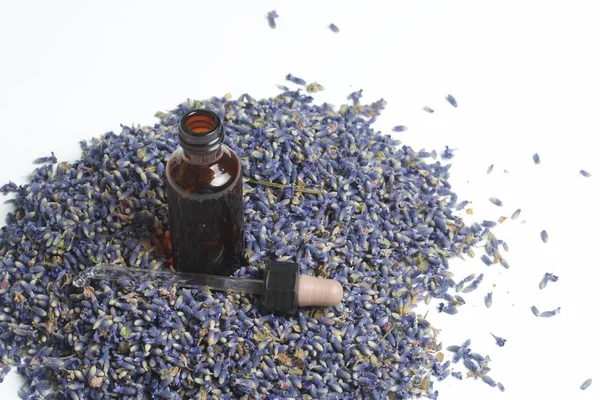 Lavanta kuru çiçekler.