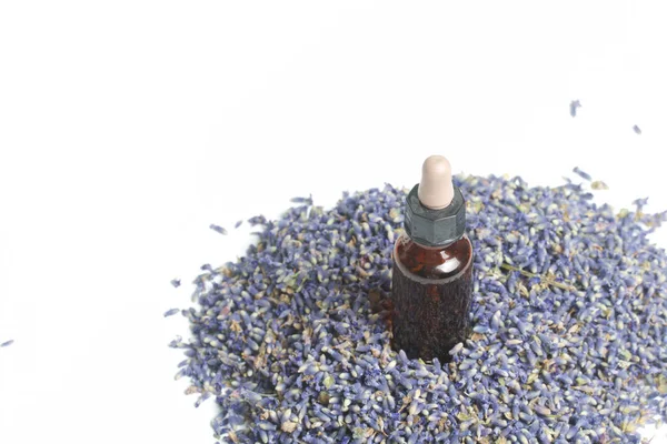 Lavanta kuru çiçekler.